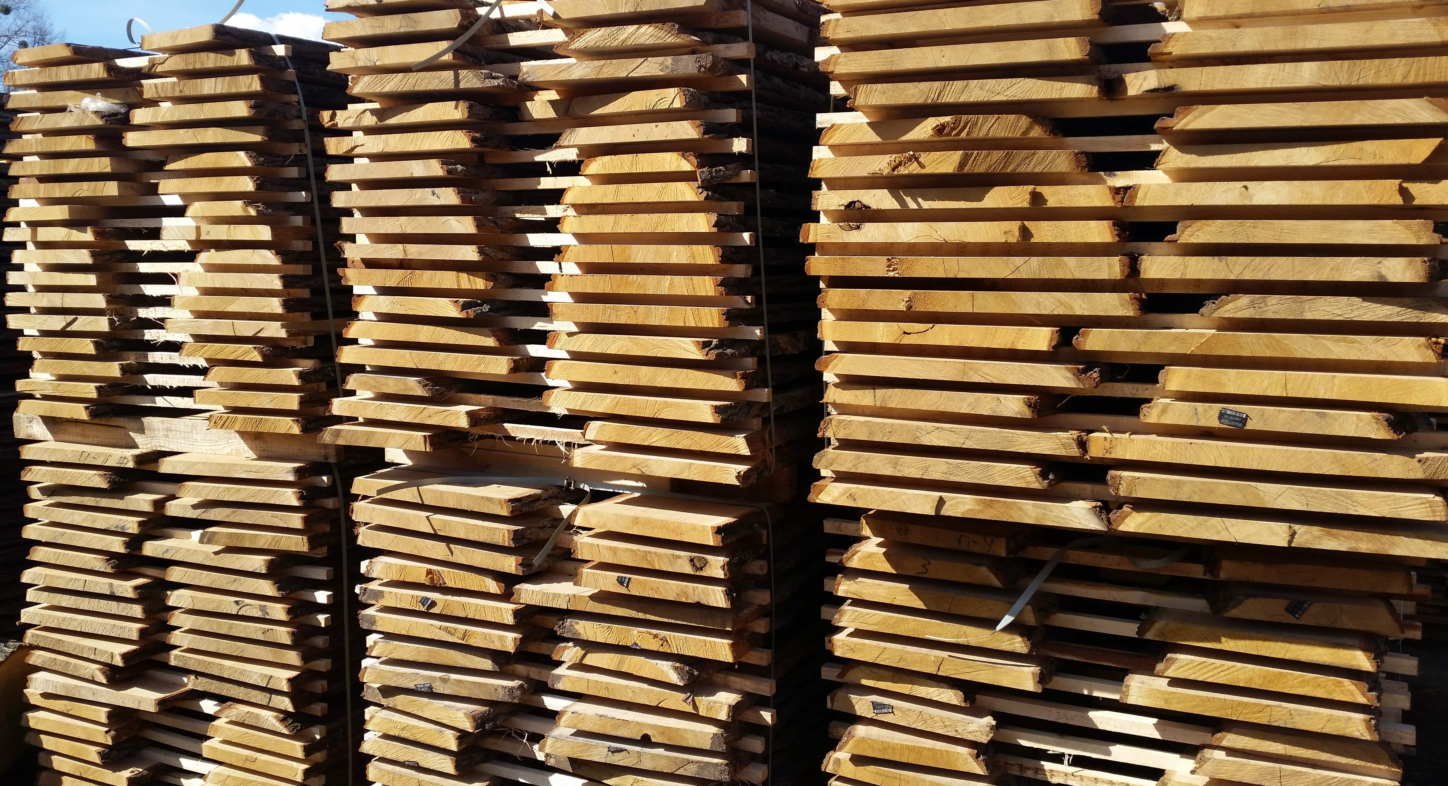 Un-edged birch